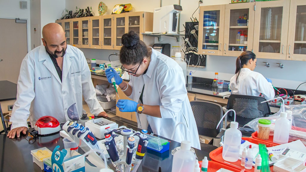 Two Biology students in the lab with Professor Michael Budziszek