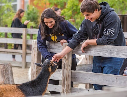 friends at petting zoo