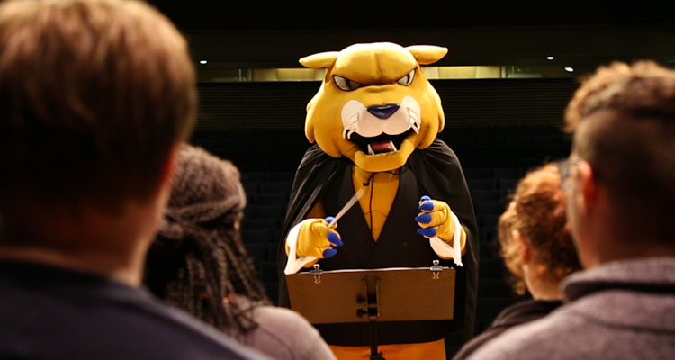 Wildcat Willie conducts.