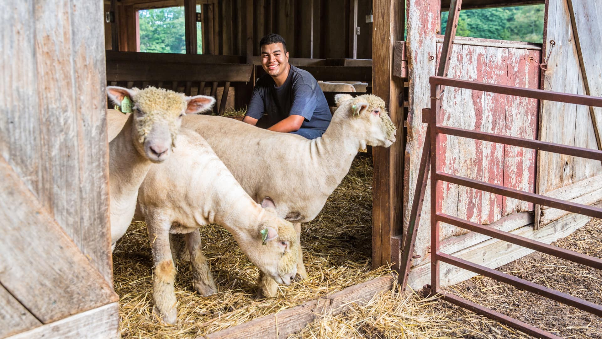 Victor at the farm.