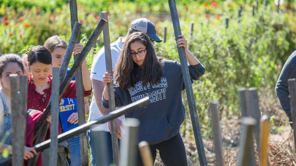 JWU student farm visit