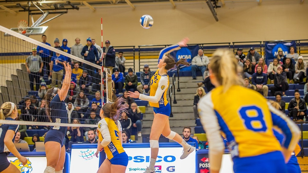 jwu women's volleyball game