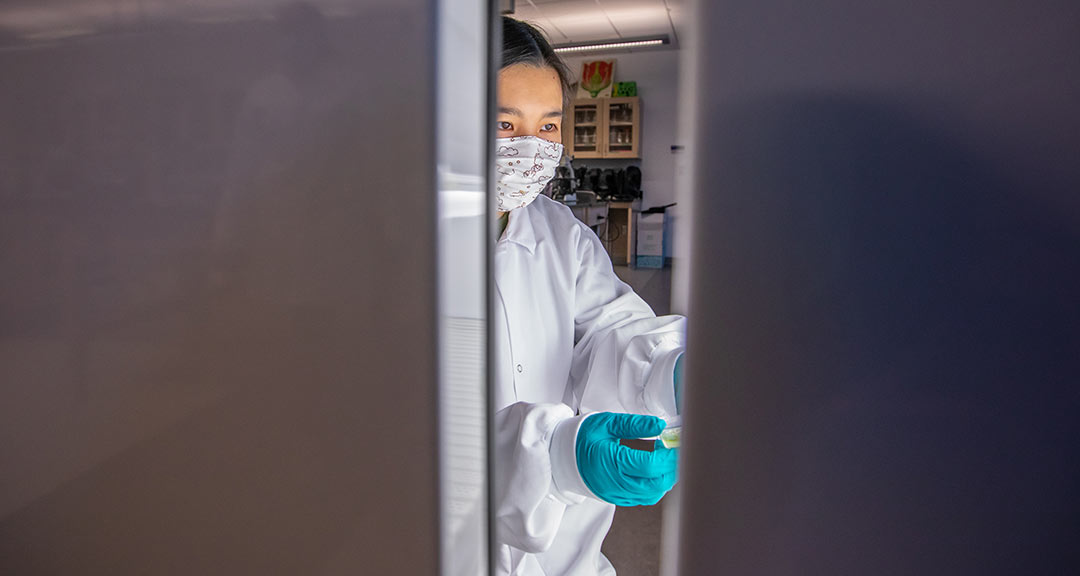 Christine Wong ’23 working with Physcomitrella patens.