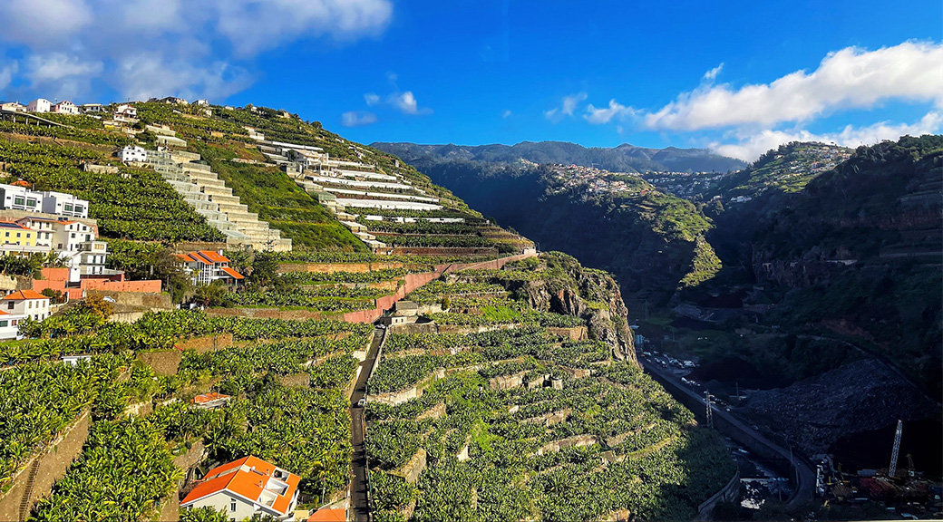 View of Madeira