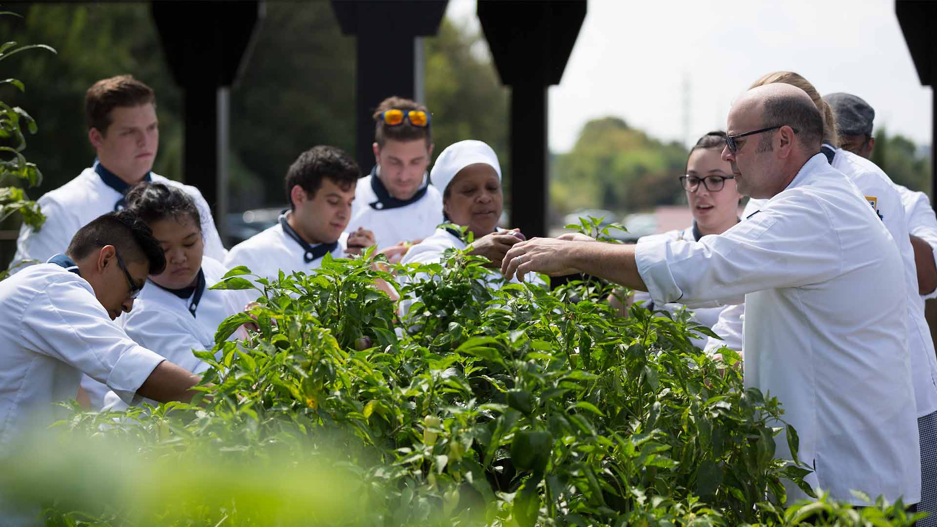 Students in a garden with a instructor learning about quality ingredients.