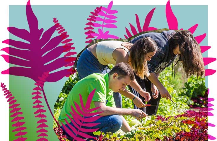 Graphic illustration of students gleaning produce at a farm.