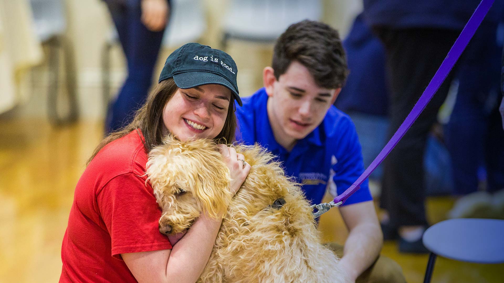 JWU Therapy Dog